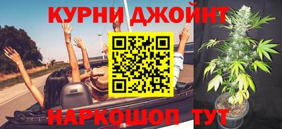 гидра Кинель
