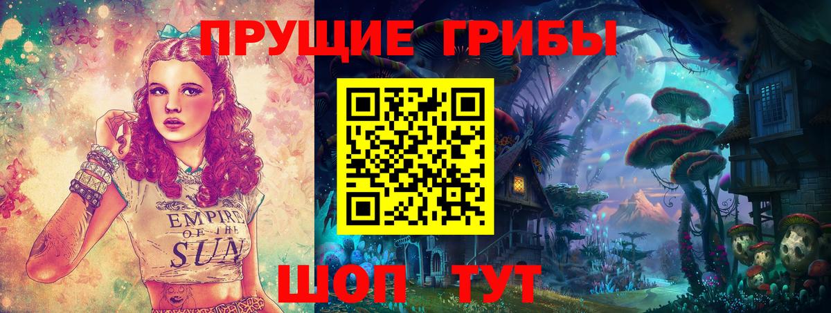Галлюциногенные грибы Psilocybine cubensis Котельники