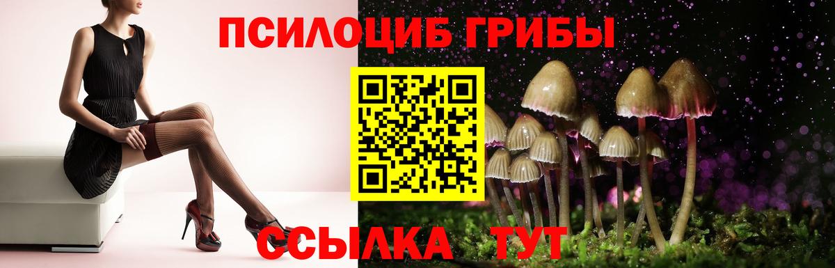 Котельники  Псилоцибиновые грибы Cubensis  Вход с VPN 